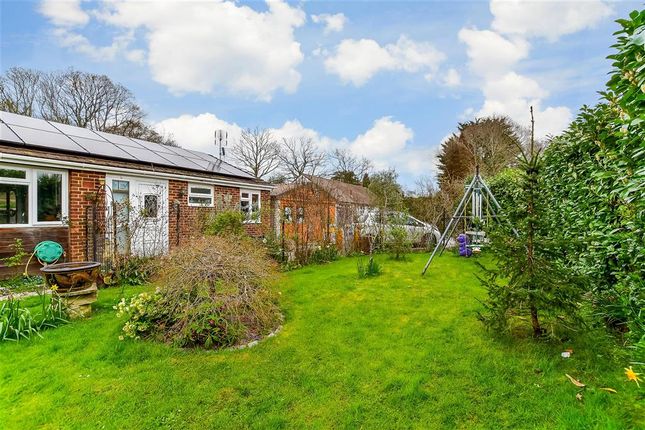 Detached bungalow for sale in The Ridgeway, Cranleigh, Surrey
