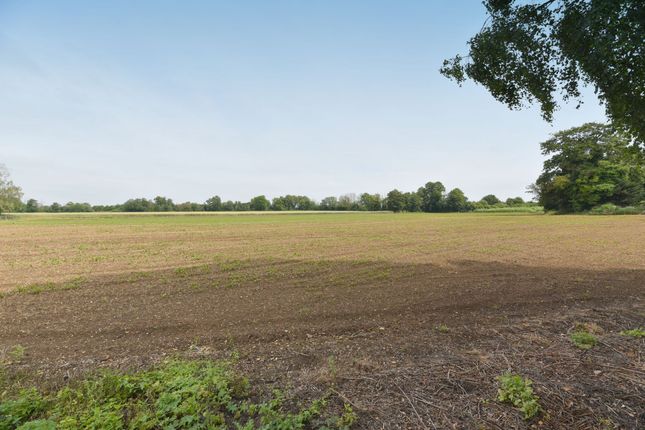 26a The Woodlands, Biggleswade photo 3