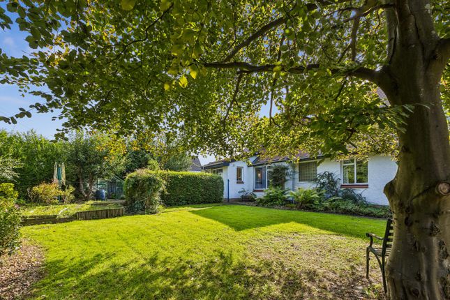 32, Pullar Avenue, Stirling photo 3