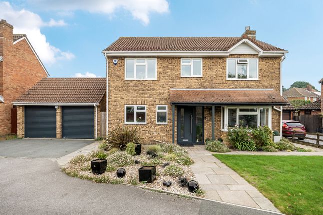 1361737-2-68Dcf0c...