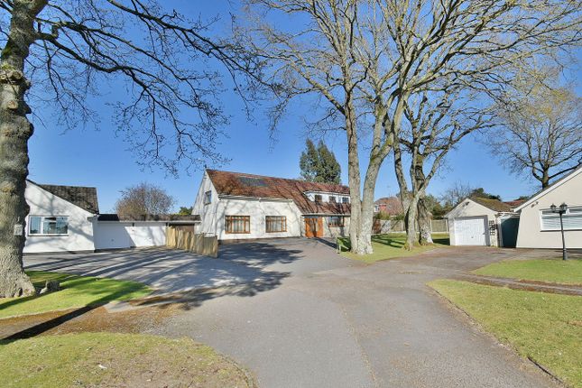 3, Stapleford Avenue, Ferndown photo 3