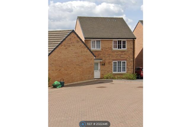 Thumbnail Detached house to rent in Caerphilly, Caerphilly