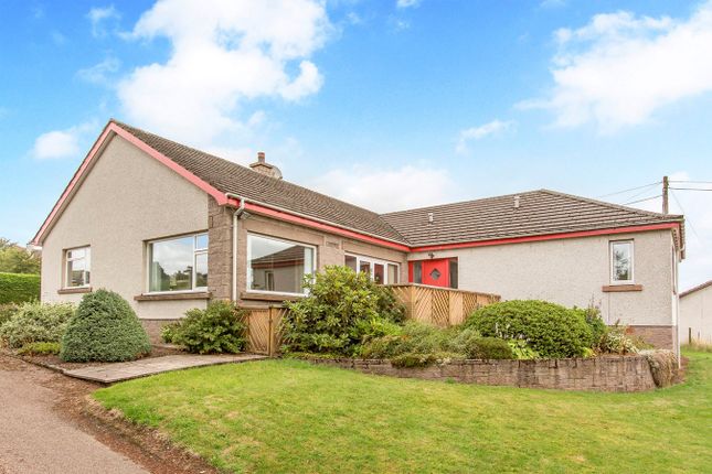 Detached bungalow for sale in Losset Road, Alyth