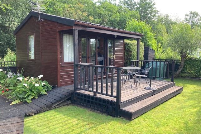 Thumbnail Bungalow for sale in Crabbetts Marsh, Horning, Norwich