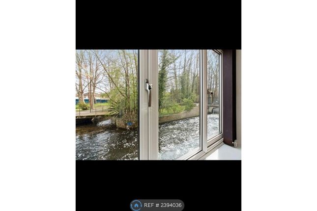River View