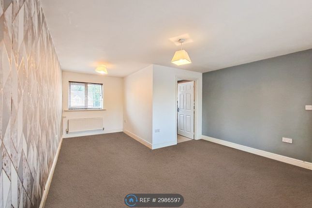 Shaw Gardens, Gedling, Nottingham photo 3
