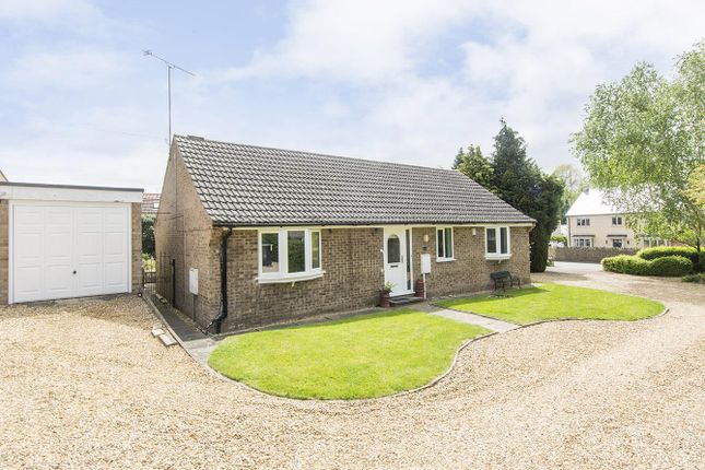 Thumbnail Detached bungalow for sale in South Road, Oundle, Peterborough