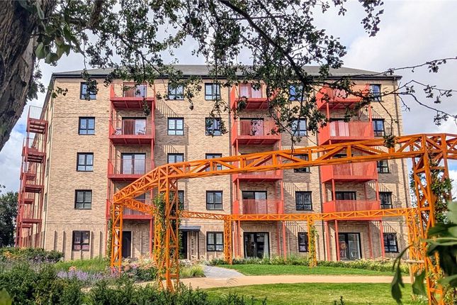 Tayfen Court
