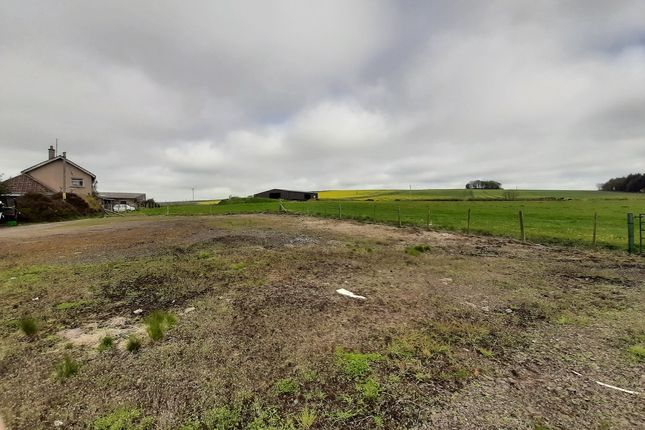 Thumbnail Land for sale in Chapelton Smiddy, Arbroath