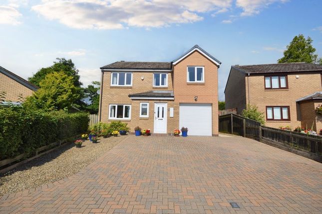 Thumbnail Detached house for sale in Royal Oak Gardens, Alnwick