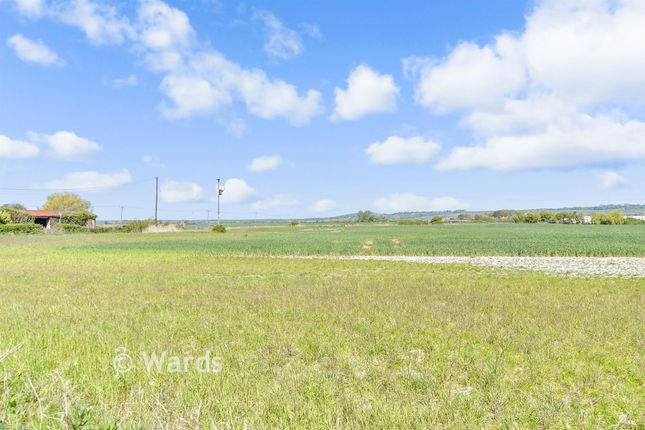 Jackdaw Cottage, Burmarsh Road, Romney Marsh photo 3