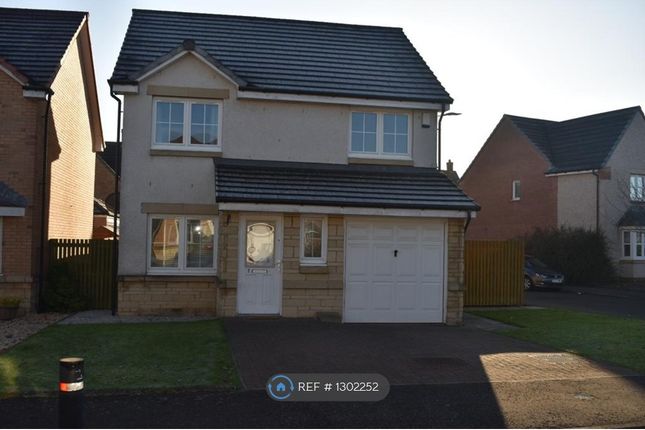 Thumbnail Detached house to rent in Crawhall Place, Larbert