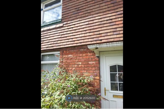 Thumbnail Semi-detached house to rent in Alcuin Ave, York