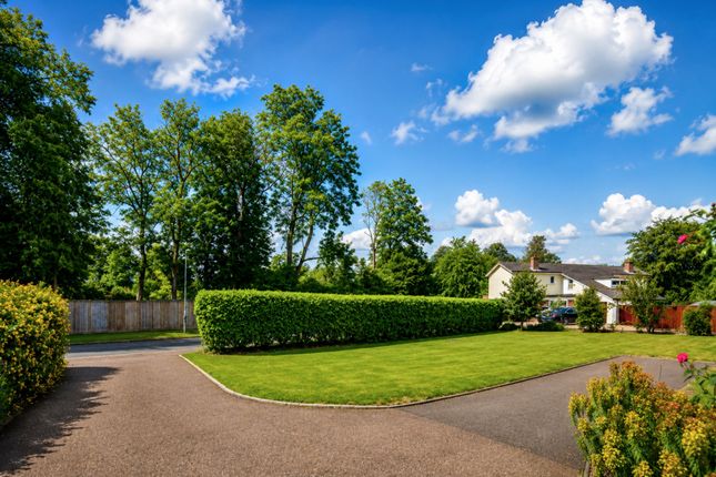 10, Woodlands Place, Bury St Edmunds photo 4