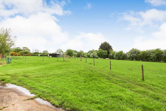 Detached bungalow for sale in Clarkes Lane, Ilketshall St. Andrew, Beccles