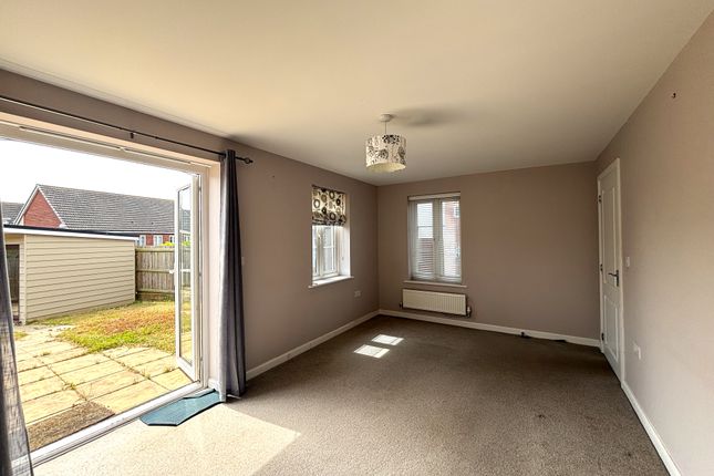 19, Exeter photo 2