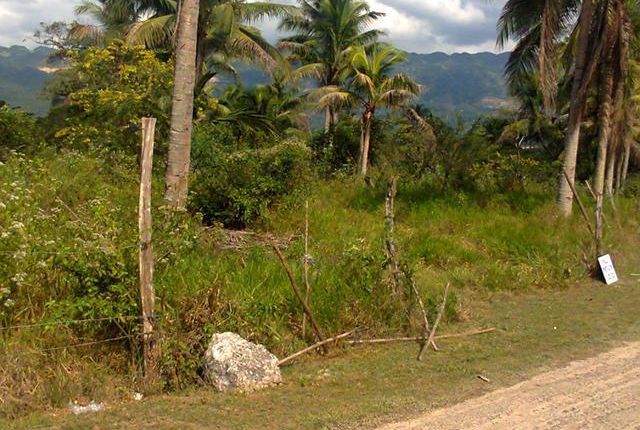 Land for sale in Linstead, Saint Catherine, Jamaica