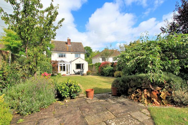 Thumbnail Detached house for sale in Park Road, Thornbury