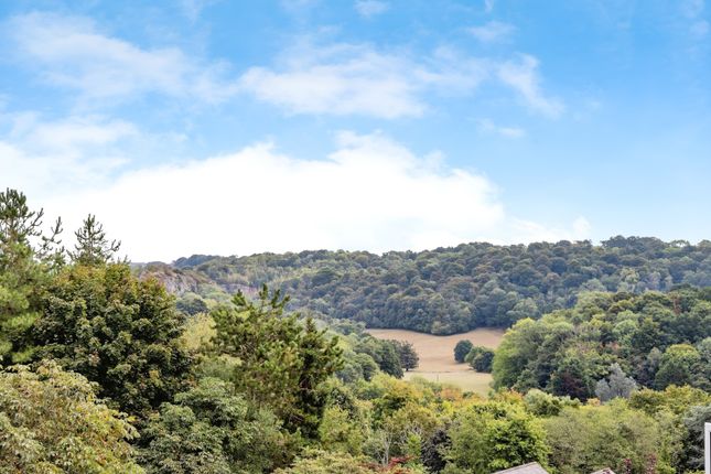 22, Stokelake, Newton Abbot photo 2