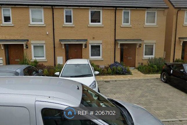 Thumbnail Terraced house to rent in Cuckoo Way, Cambridgeshire