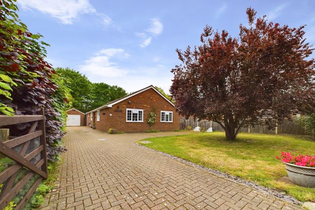 Thumbnail Detached bungalow for sale in Chase Road, Lindford, Bordon, Hampshire
