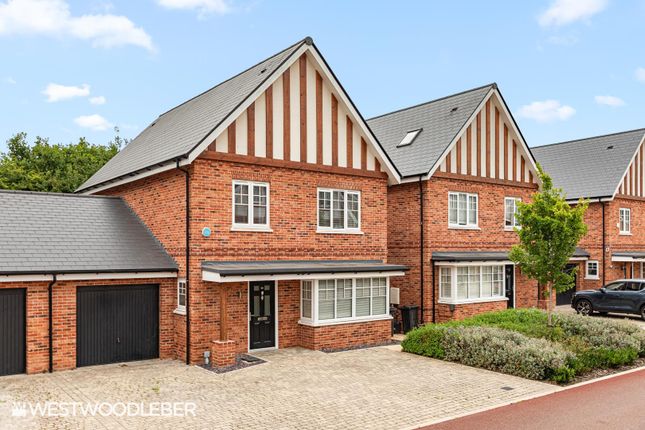 Andersonclose_34.Jpg