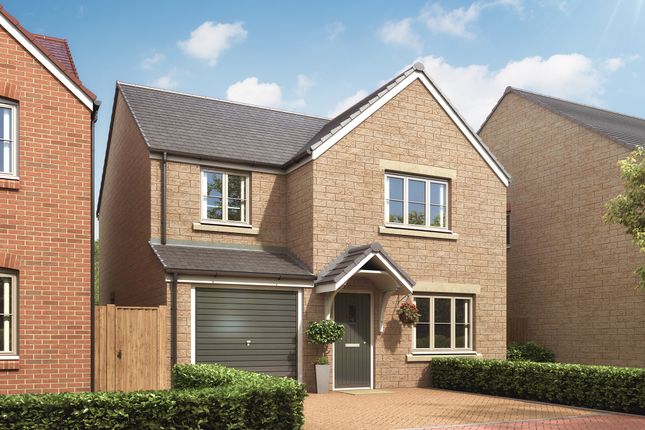 Thumbnail Detached house for sale in "The Gisburn" at Desborough Road, Rothwell, Kettering