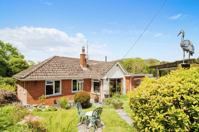 Detached bungalow for sale in Clapham, Exeter