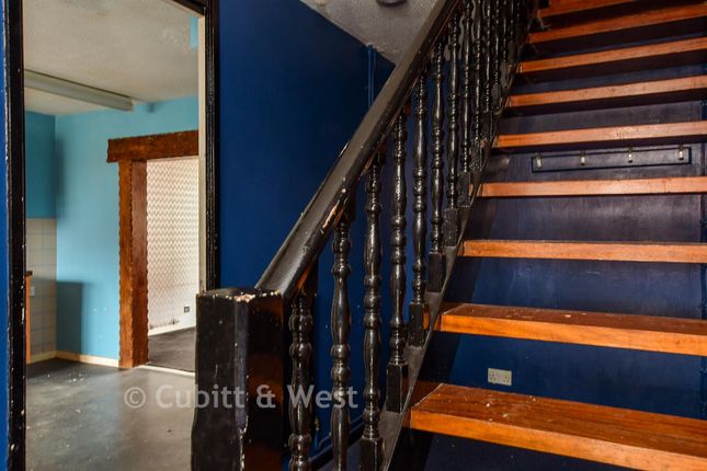 101, Carden Avenue, Brighton photo 4