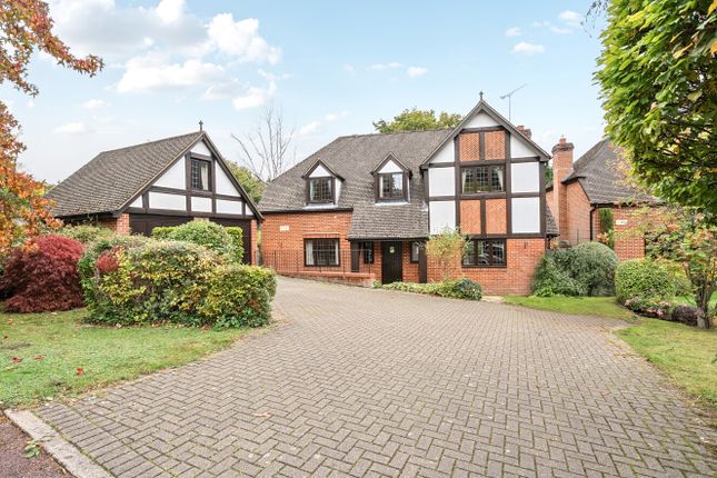 1364930-9-68ee259...