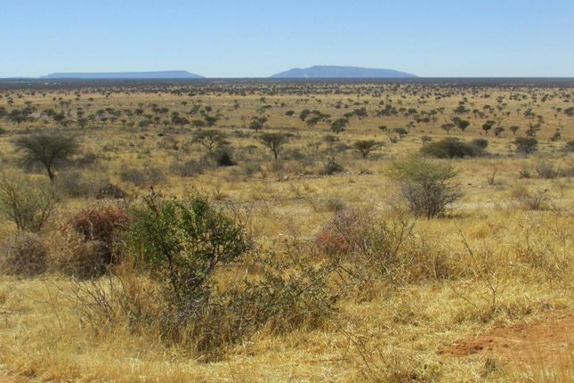 143 B1, Otjiwarongo, Otjozondjupa, Namibia, farm for sale - 42894647 ...