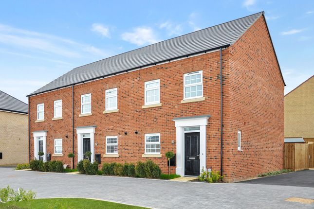 End terrace house for sale in "The Eveleigh" at Grange Lane, Littleport, Ely