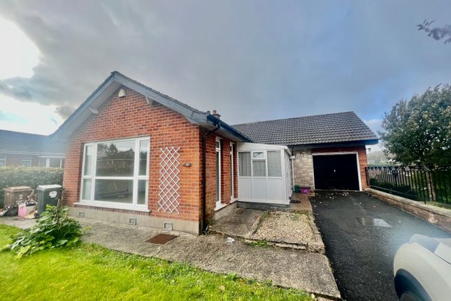 Thumbnail Detached house to rent in Knightsbridge Park, Belfast, County Antrim