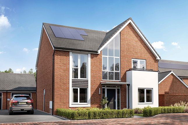 Thumbnail Detached house for sale in "The Mayne - Plot 216" at Pear Tree Drive, Broomhall, Worcester