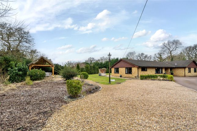 Bungalow for sale in New Mill Road, Eversley, Hook, Berkshire