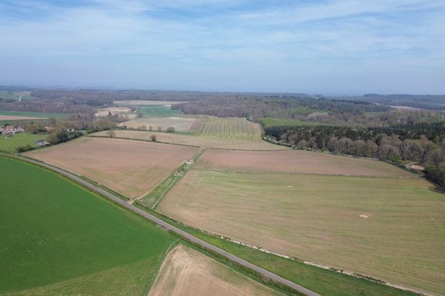 The Paddocks, Ganthorpe, York photo 3