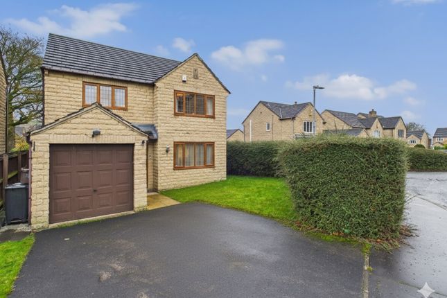 Gemini_Generated_Image_Ieijhhieijhhieij