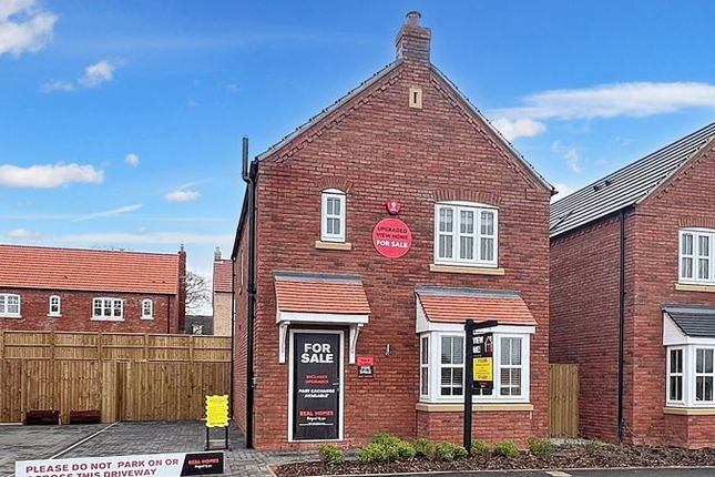 Thumbnail Detached house for sale in The Avenue, Gainsborough