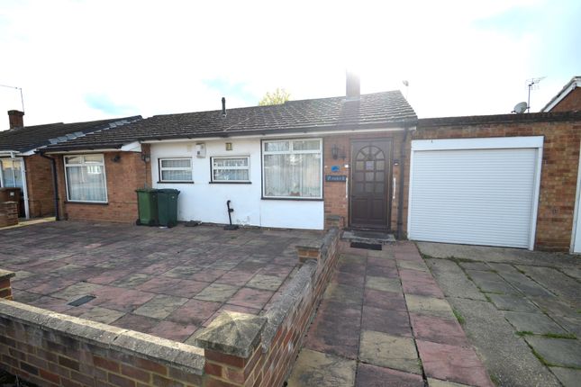Thumbnail Detached bungalow to rent in Albain Crescent, Ashford