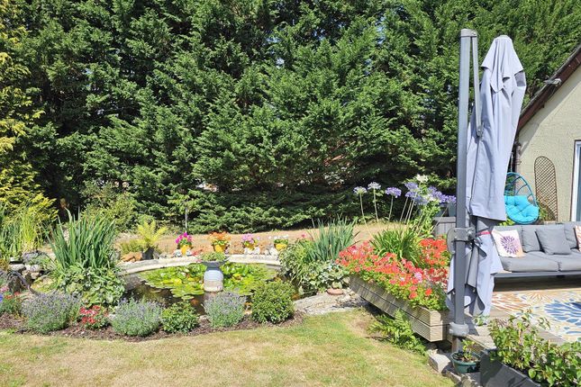 Garden 6.Jpg
