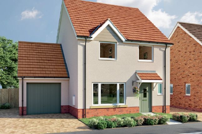 Thumbnail Detached house for sale in Orchard Brooks, Williton, Taunton