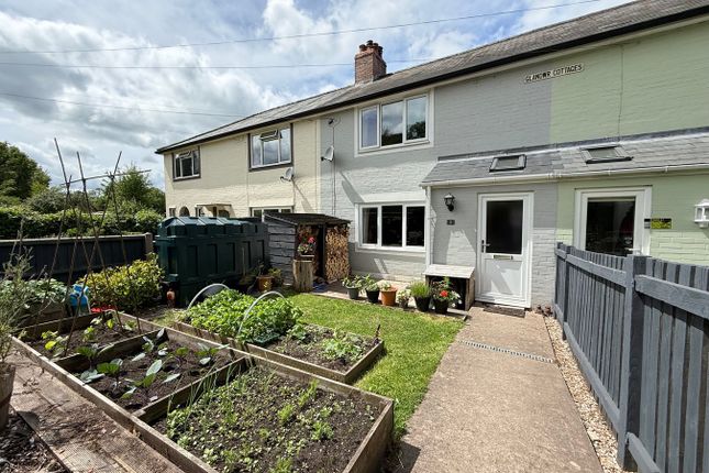 Thumbnail Terraced house for sale in Pandy, Abergavenny