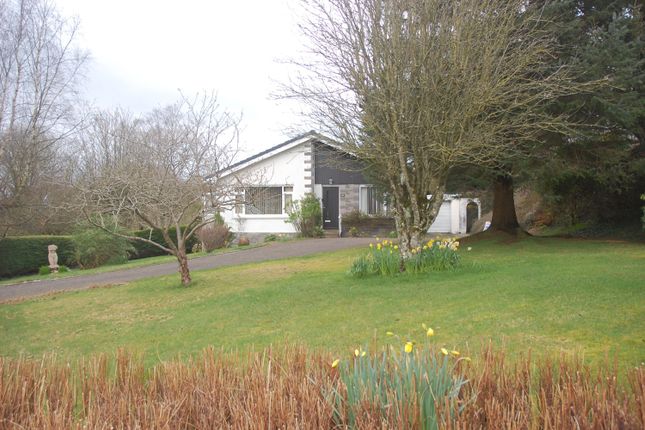 Thumbnail Detached bungalow for sale in 33 Boreland Road, Kirkcudbright