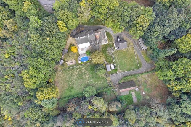 Homestead  Lunces Common, Ditchling Rd Wivelsfield, Haywards Heath photo 2