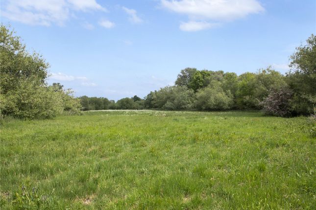 Pasture