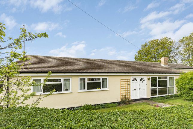 Thumbnail Detached bungalow for sale in Whittlesford Road, Newton, Cambridge