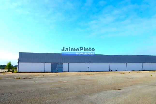 Warehouse for sale in Used Warehouse 12 000 m2 With Patio, Portugal