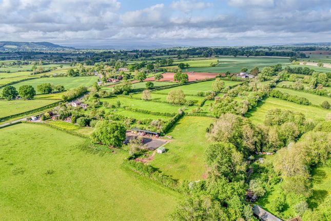 Thumbnail Farm for sale in The Glebelands, Dilwyn, Hereford