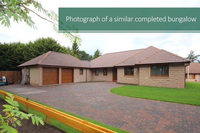 Thumbnail Detached bungalow for sale in Plot 43 Inchbroom Pines, Lossiemouth