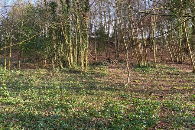 Land for sale in Eaglesbush Valley, Neath, Neath Port Talbot.